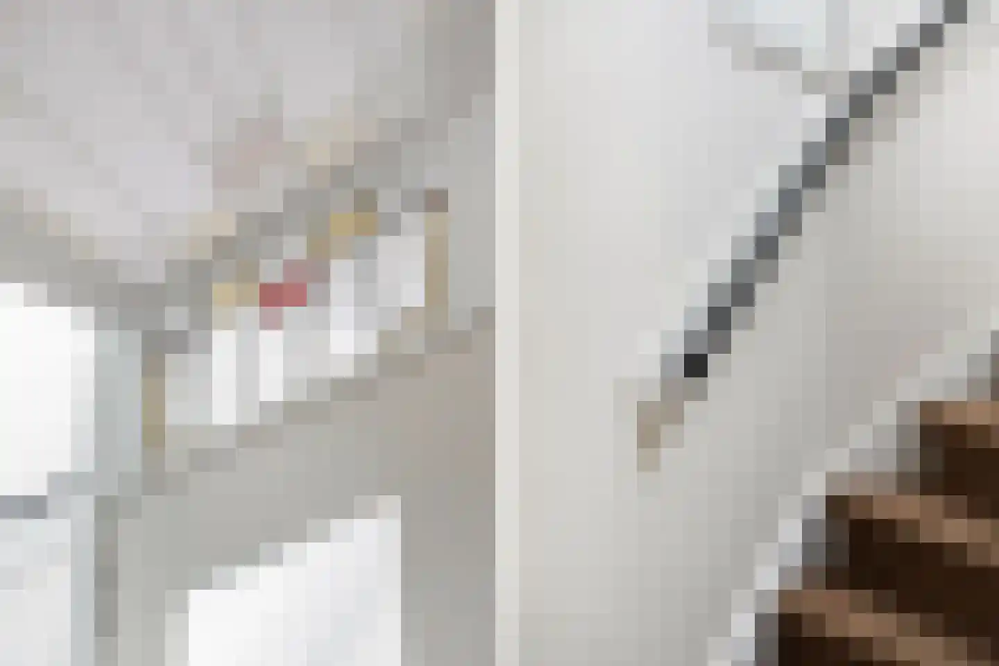 Groen van Prinstererstraat 38 B Rotterdam thumbnail 22