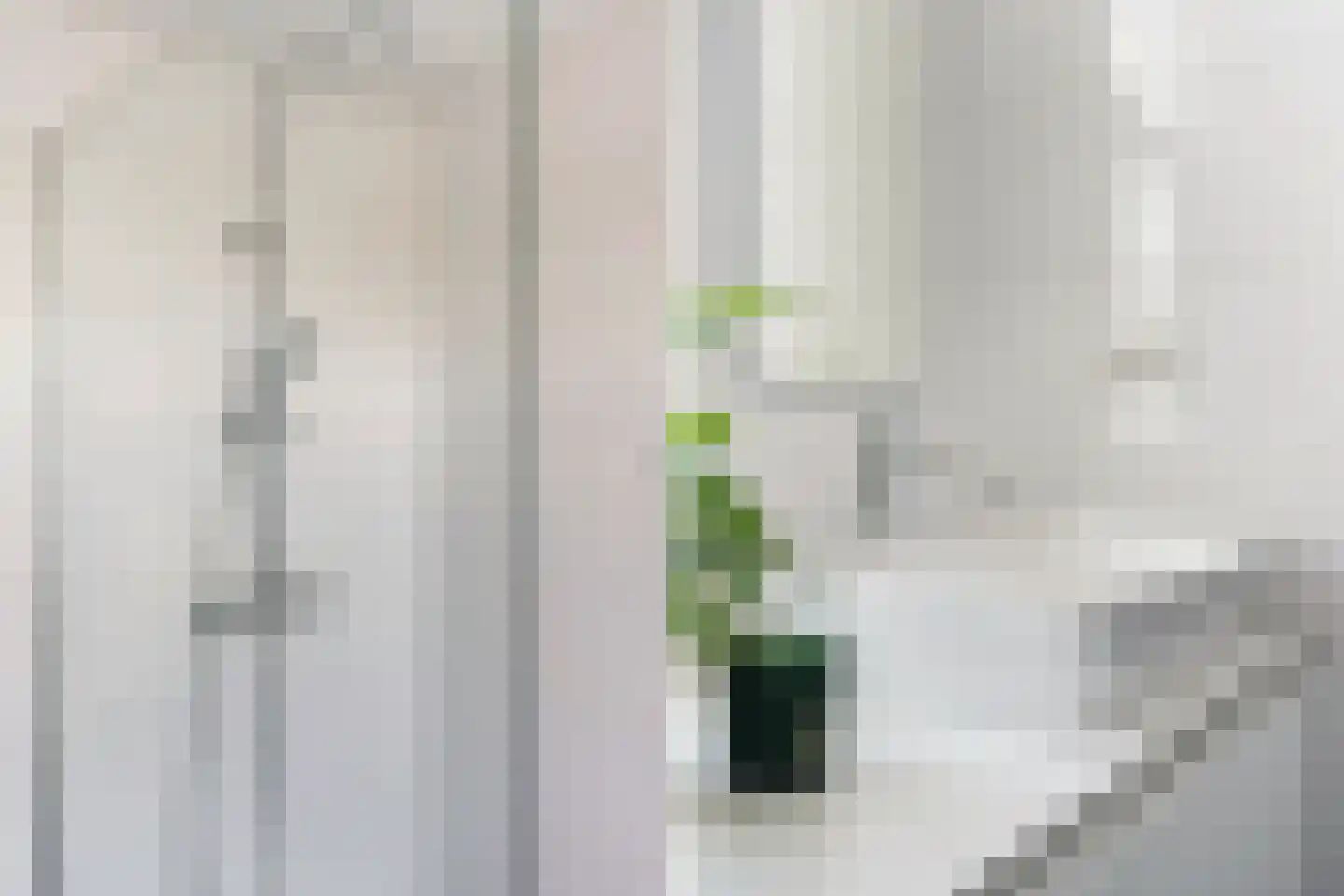 Groen van Prinstererstraat 38 B Rotterdam thumbnail 34