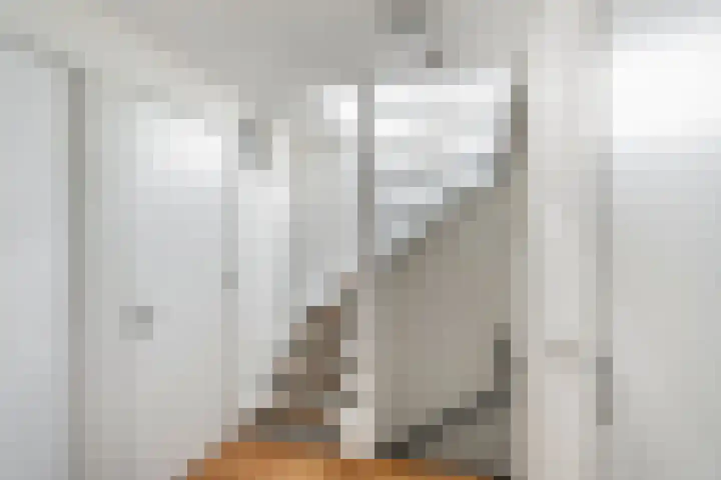 Groen van Prinstererstraat 38 B Rotterdam thumbnail 35