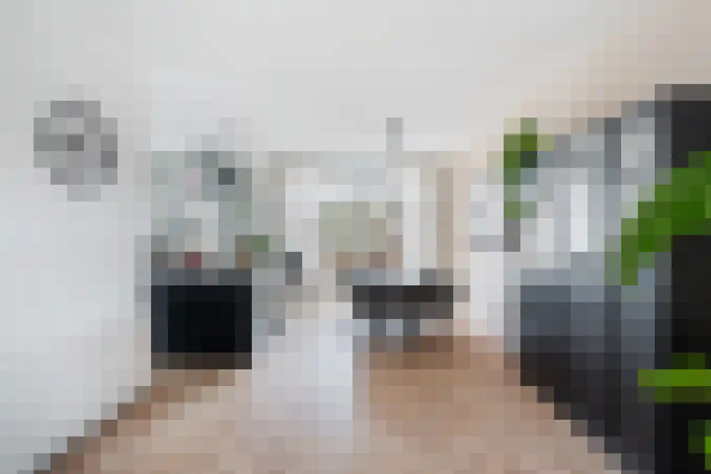 Groen van Prinstererstraat 38 B Rotterdam thumbnail 7