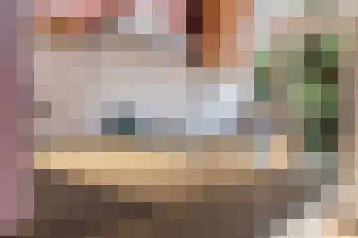 Groen van Prinstererstraat 39 B 02 Rotterdam thumbnail 27