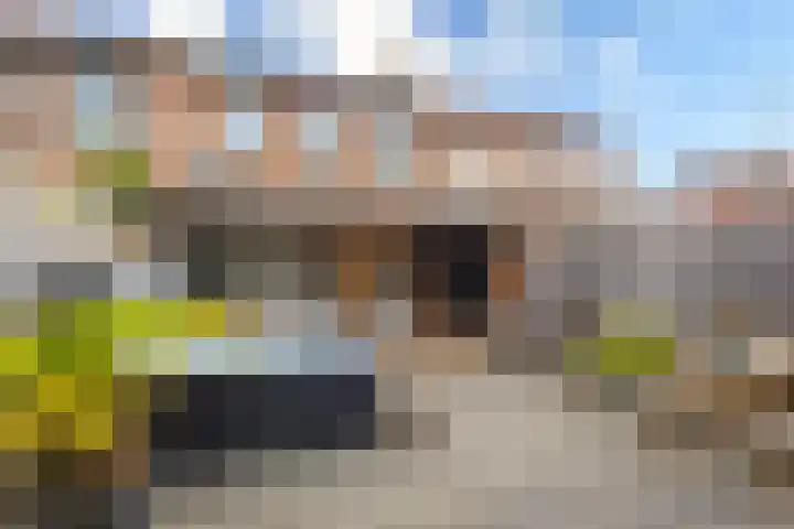 Groen van Prinstererstraat 4 Hardinxveld-Giessendam thumbnail 24