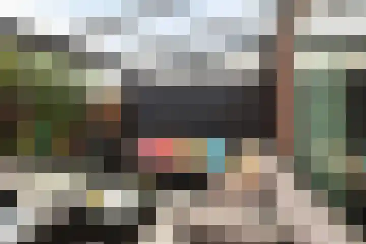 Groen van Prinstererstraat 4 Schiedam thumbnail 13