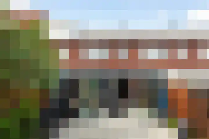 Groen van Prinstererstraat 4 Schiedam thumbnail 16