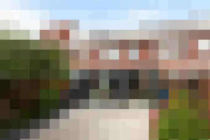 Groen van Prinstererstraat 4 Schiedam thumbnail 17