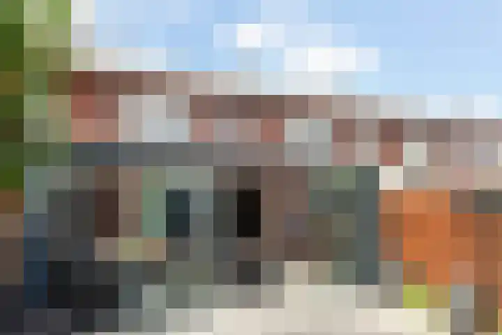 Groen van Prinstererstraat 4 Schiedam thumbnail 18