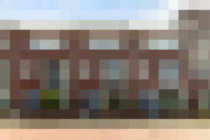Groen van Prinstererstraat 4 Schiedam thumbnail 4