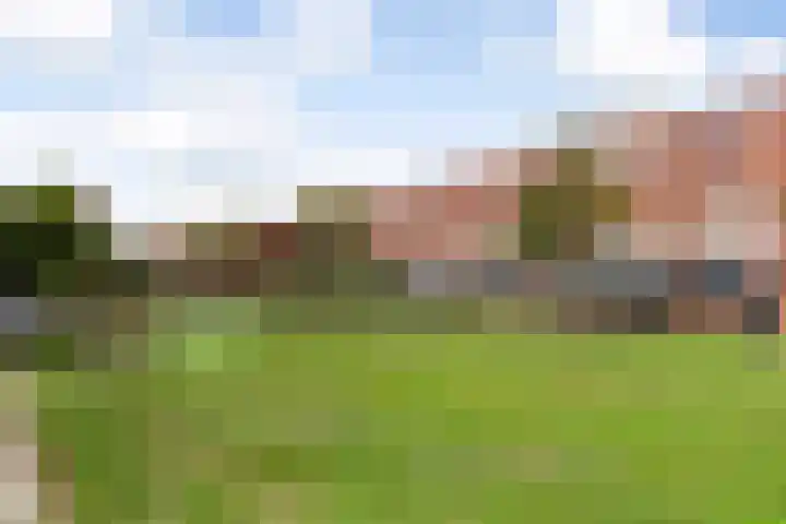 Groen van Prinstererstraat 4 Schiedam thumbnail 40