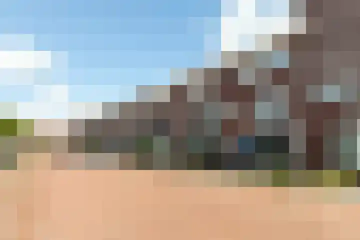 Groen van Prinstererstraat 4 Schiedam thumbnail 43