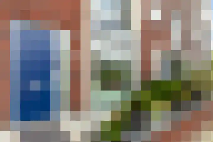 Groen van Prinstererstraat 4 Schiedam thumbnail 5
