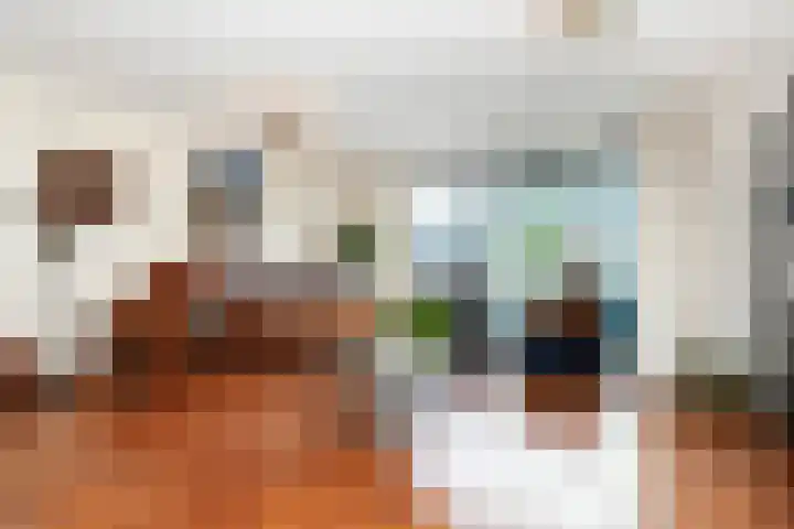 Groen van Prinstererstraat 4 Schiedam thumbnail 8