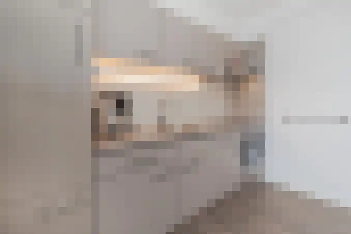 Groen van Prinstererstraat 4 Sittard thumbnail 14