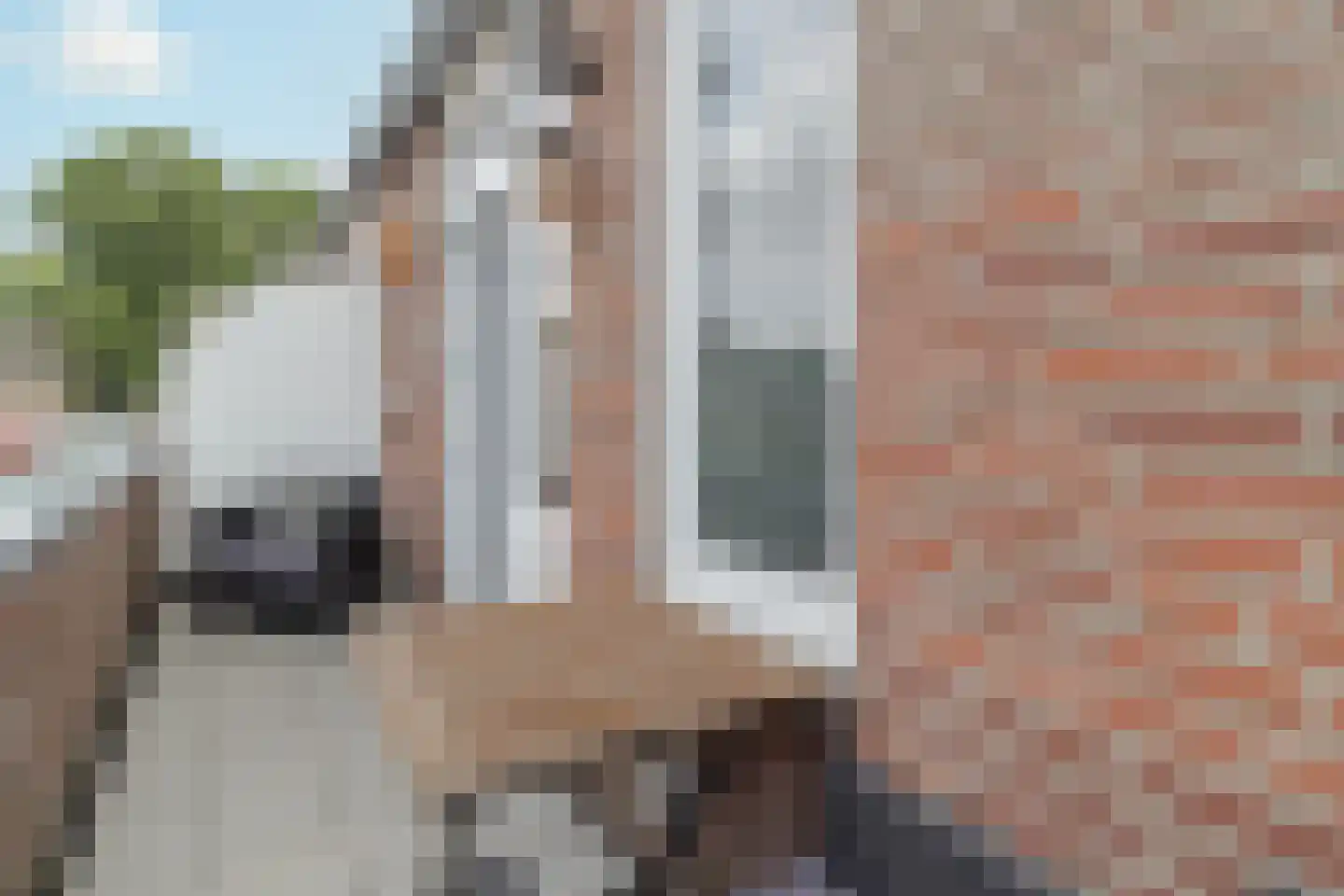 Groen van Prinstererstraat 4 Sittard thumbnail 16