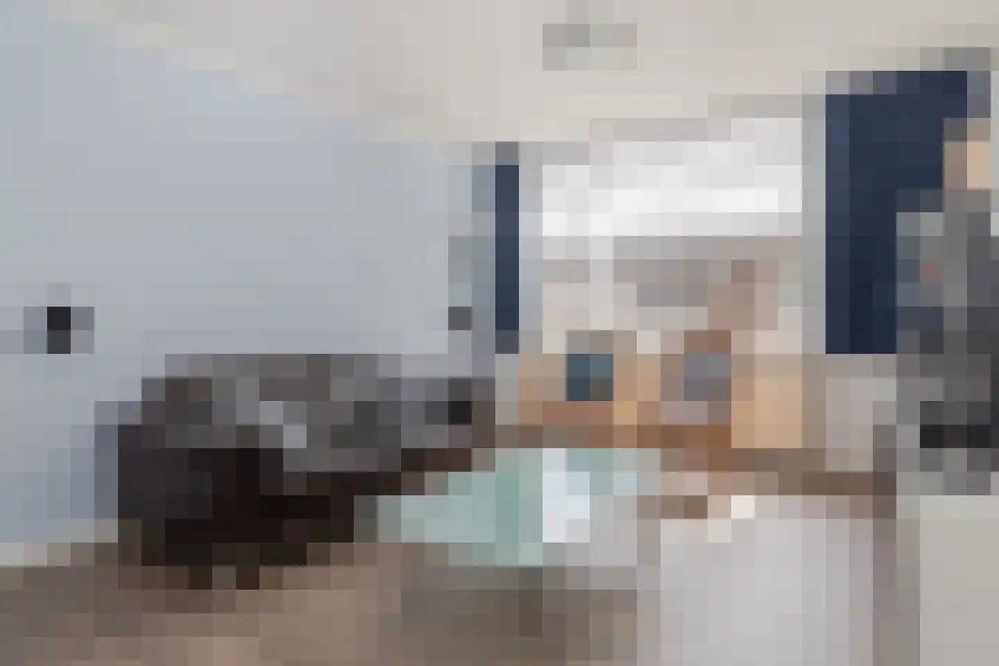 Groen van Prinstererstraat 4 Sittard thumbnail 5