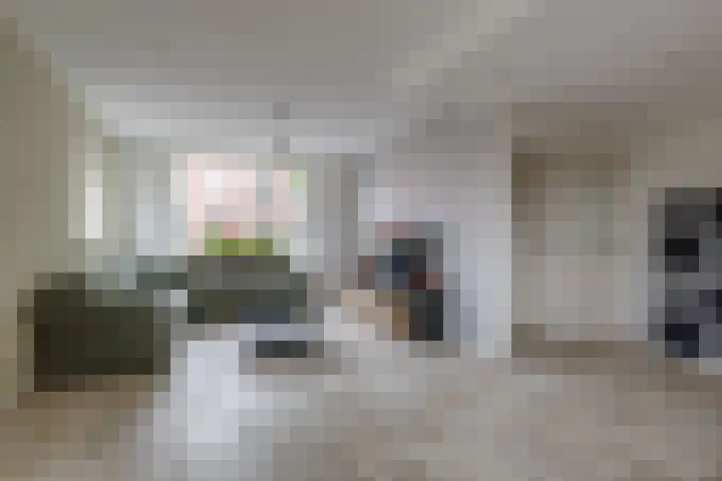 Groen van Prinstererstraat 4 Zelhem thumbnail 14
