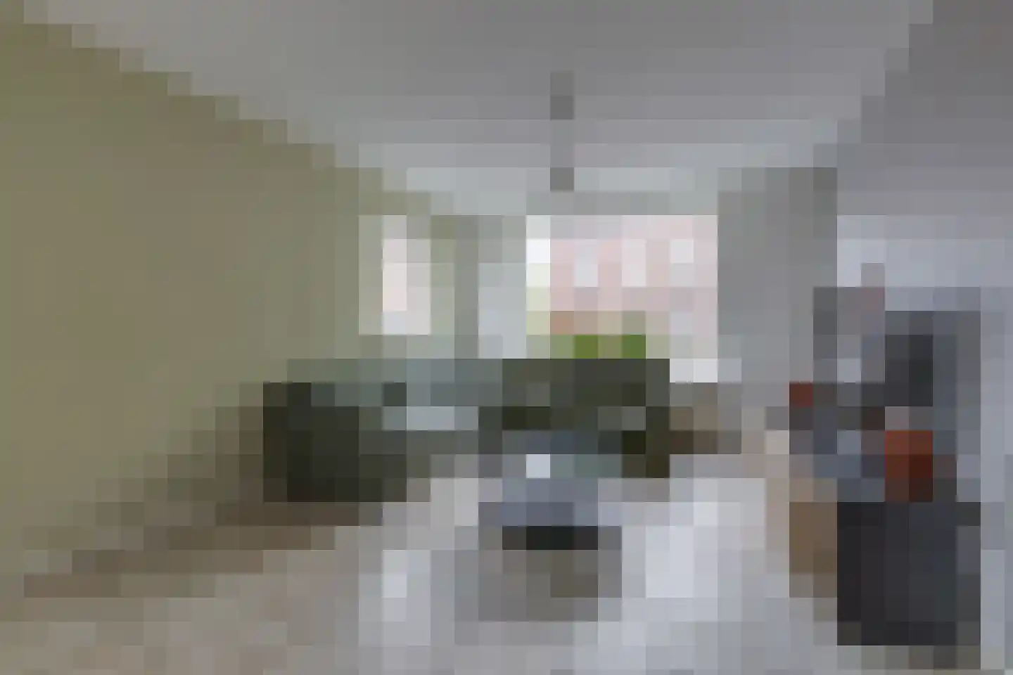 Groen van Prinstererstraat 4 Zelhem thumbnail 15