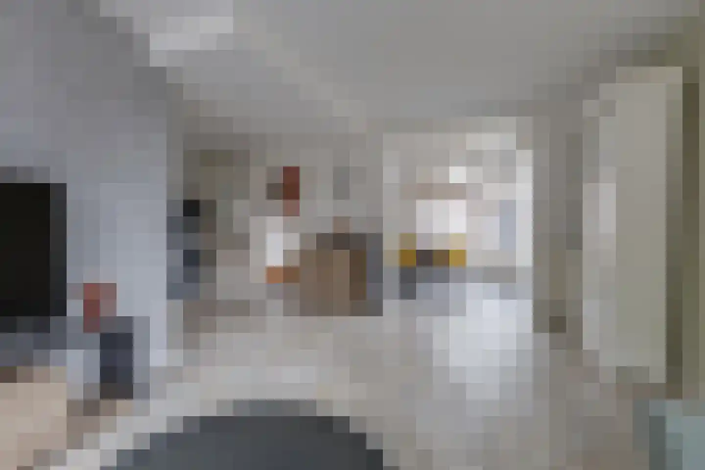 Groen van Prinstererstraat 4 Zelhem thumbnail 16