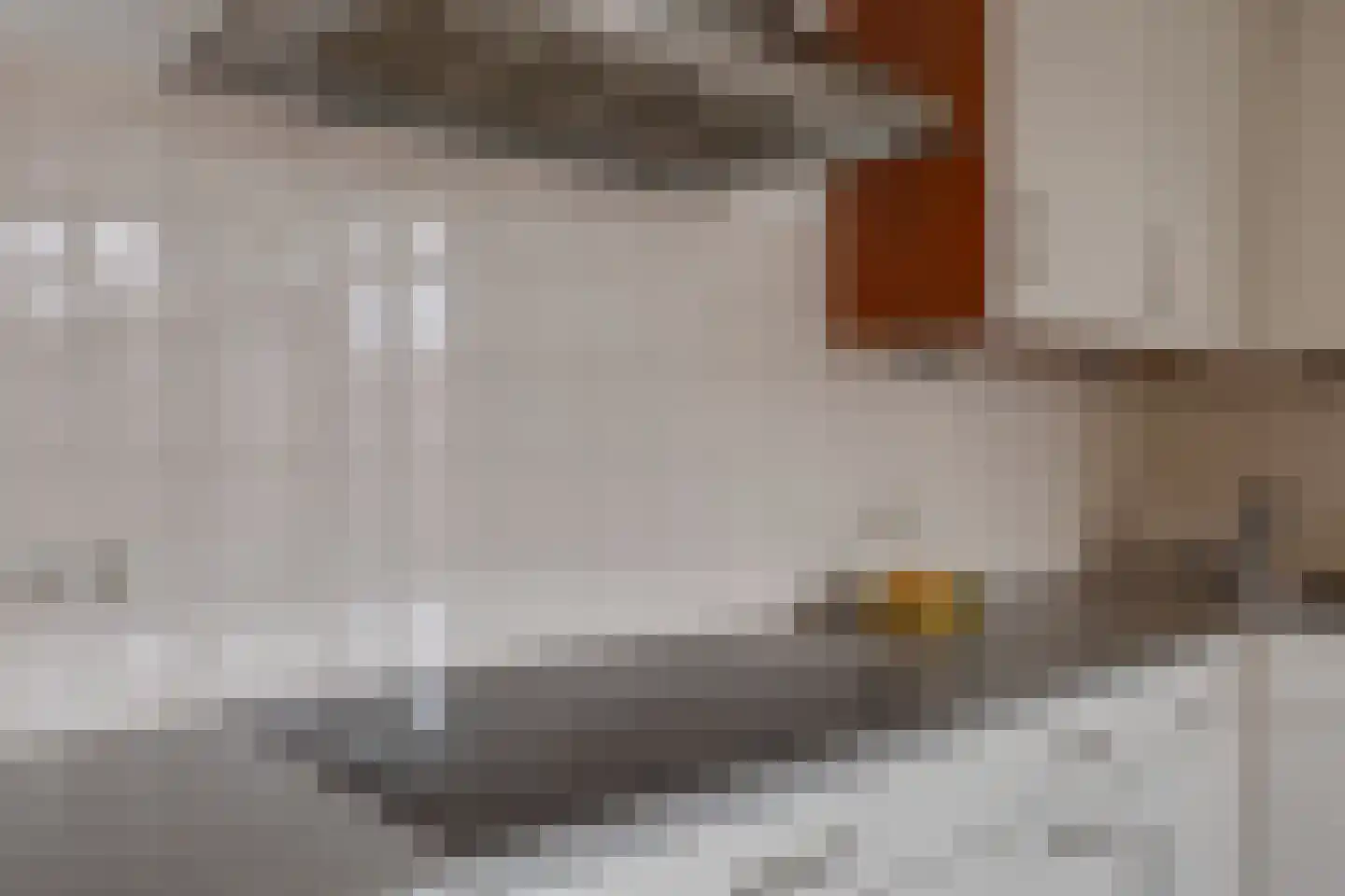 Groen van Prinstererstraat 4 Zelhem thumbnail 21