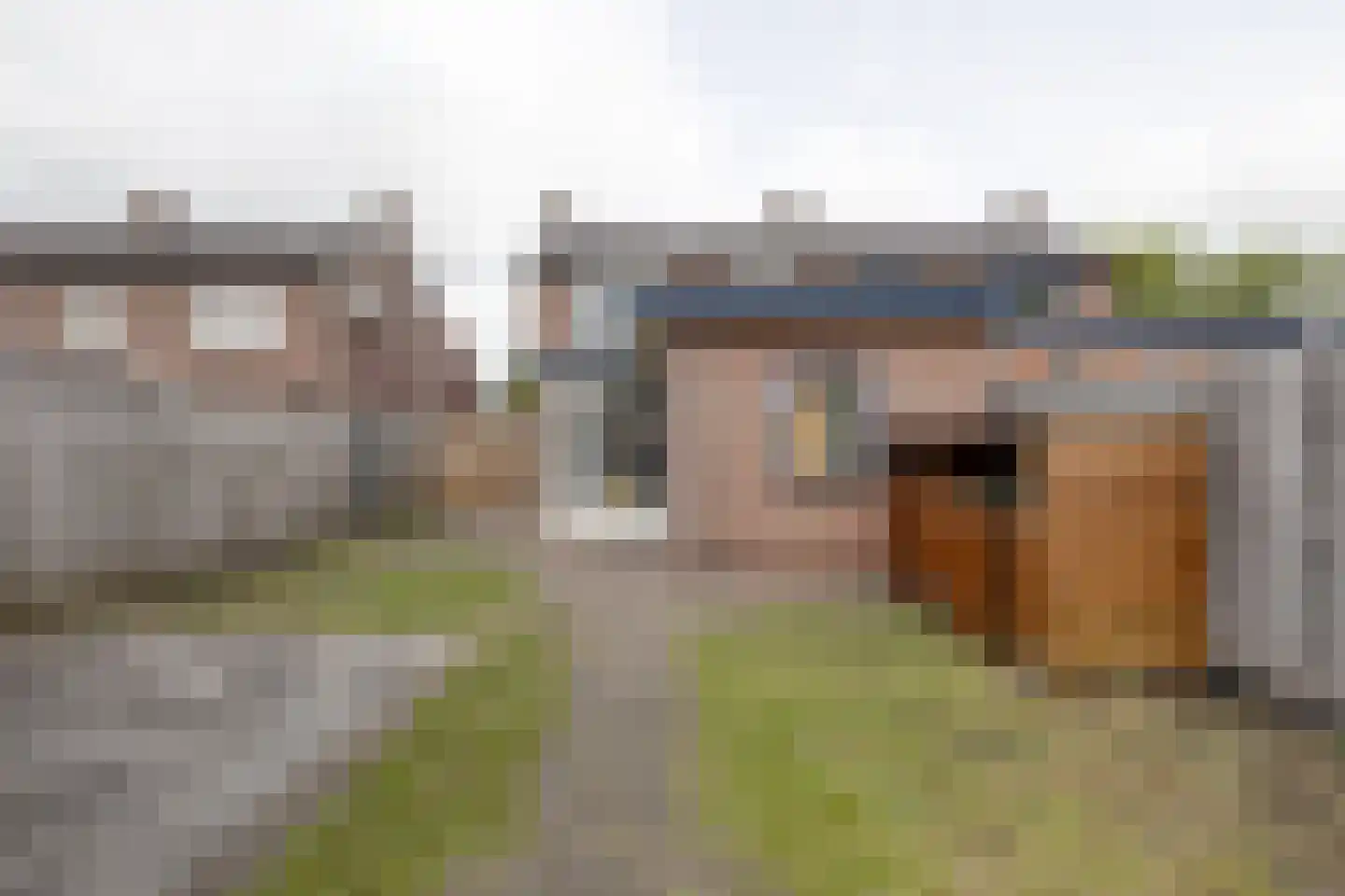 Groen van Prinstererstraat 4 Zelhem thumbnail 41