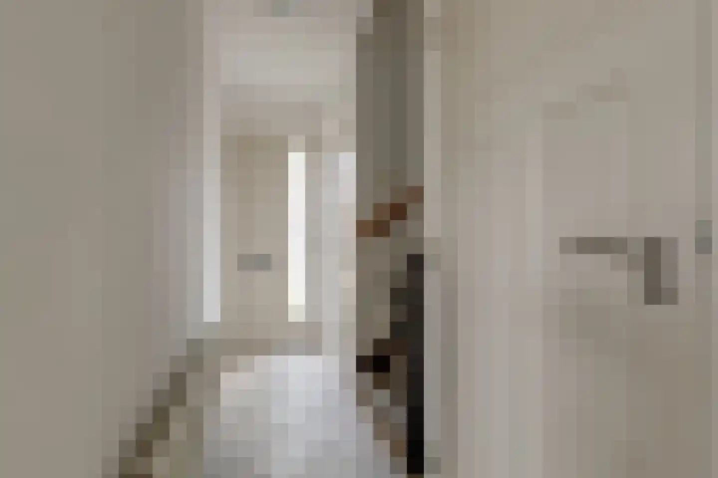 Groen van Prinstererstraat 4 Zelhem thumbnail 9
