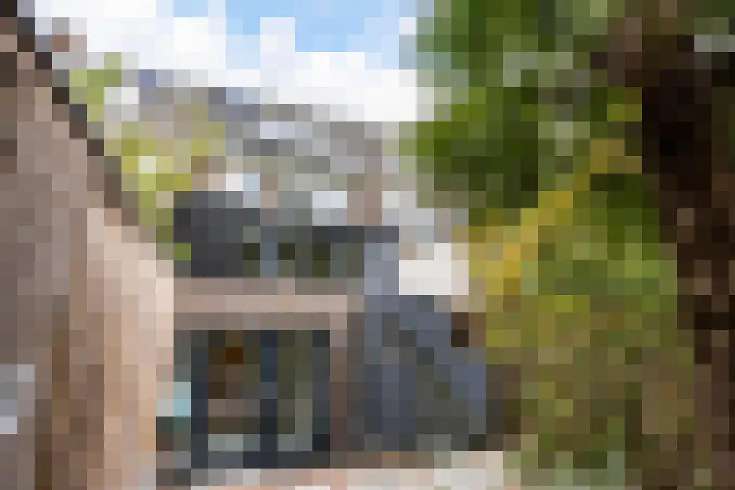 Groen van Prinstererstraat 40 Arnhem thumbnail 22