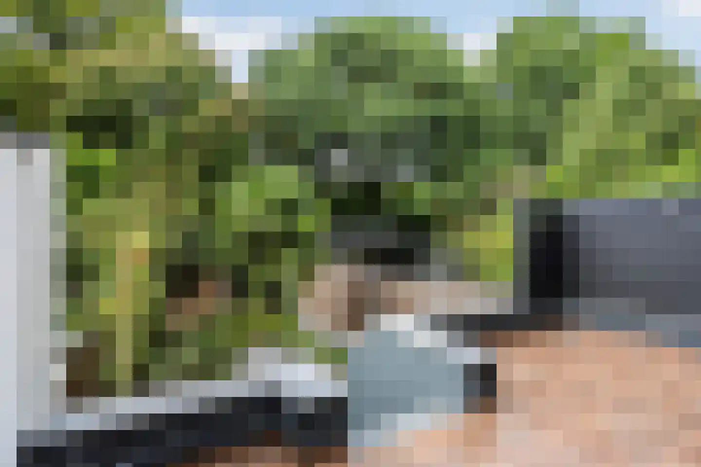 Groen van Prinstererstraat 40 Arnhem thumbnail 4