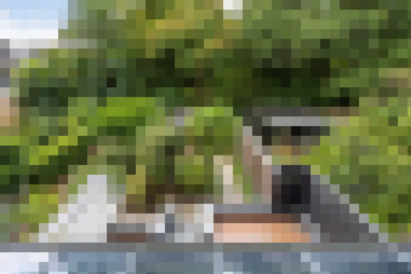 Groen van Prinstererstraat 40 Arnhem thumbnail 44