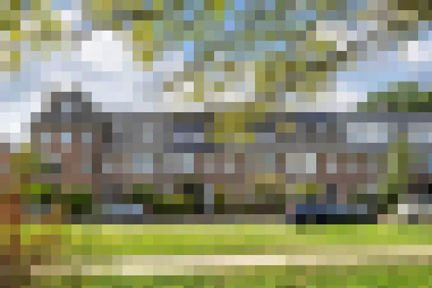 Groen van Prinstererstraat 40 Arnhem thumbnail 5
