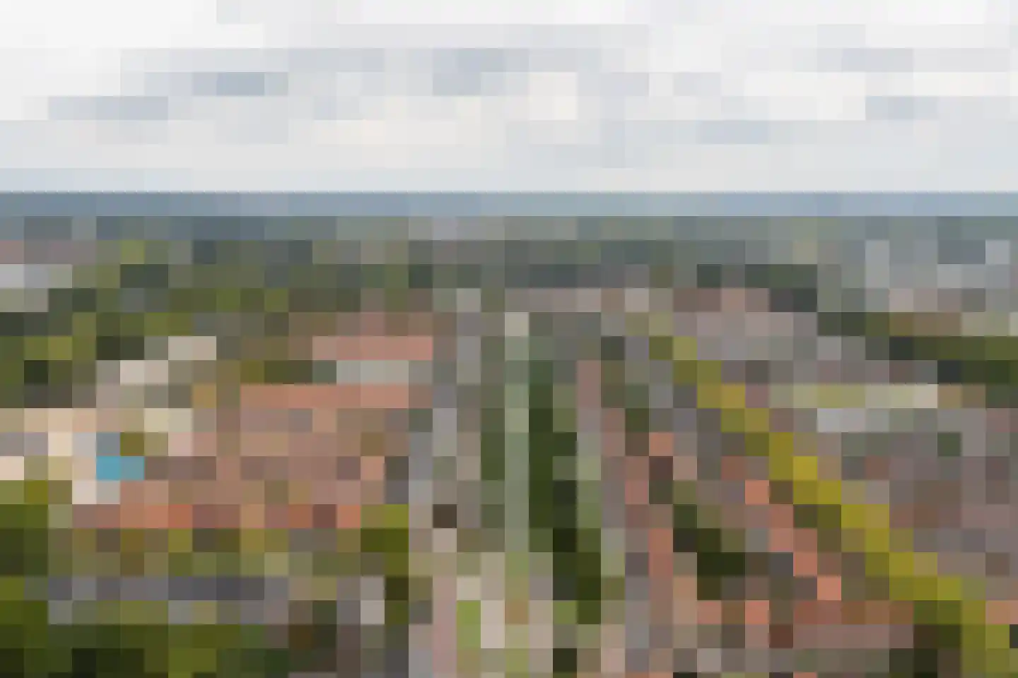 Groen van Prinstererstraat 40 Arnhem thumbnail 63