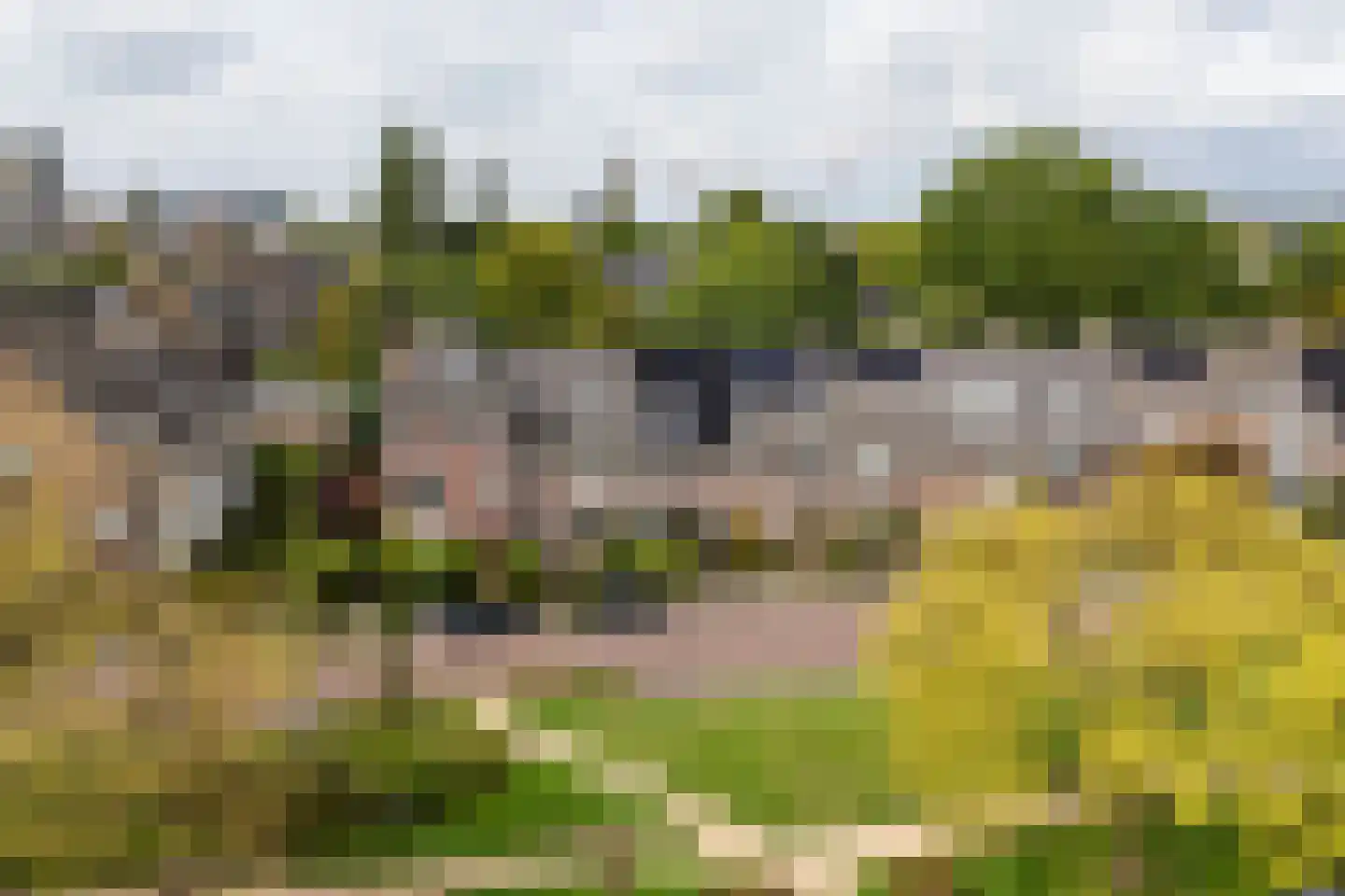 Groen van Prinstererstraat 40 Arnhem thumbnail 7
