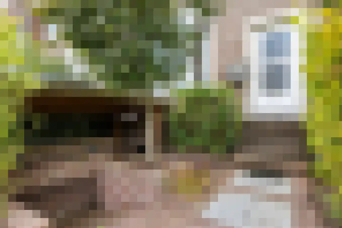 Groen van Prinstererstraat 40 Arnhem thumbnail 8