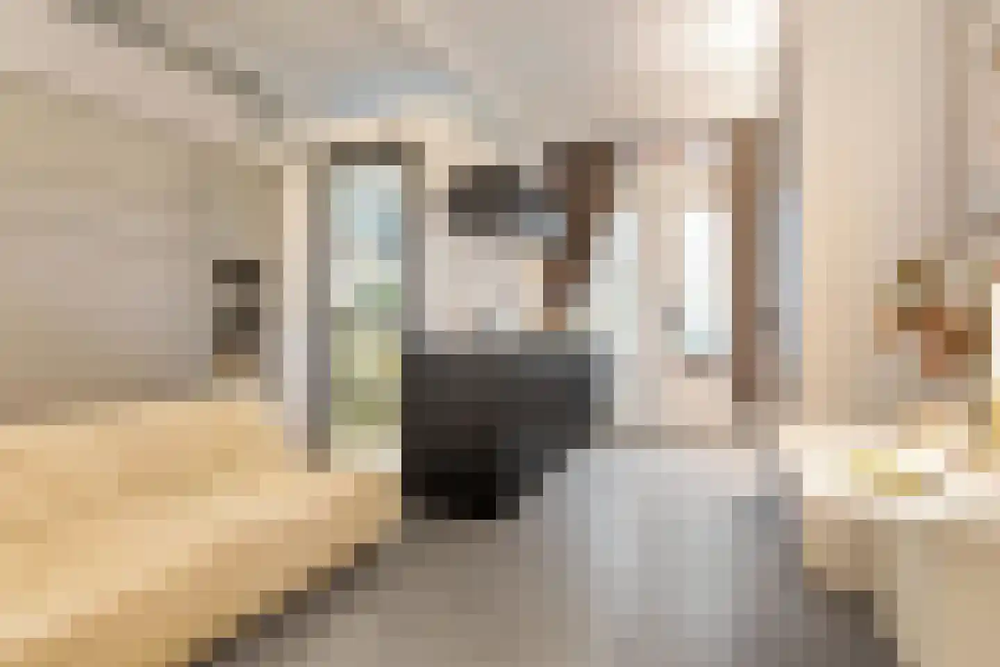 Groen van Prinstererstraat 42 A 02 Rotterdam thumbnail 4