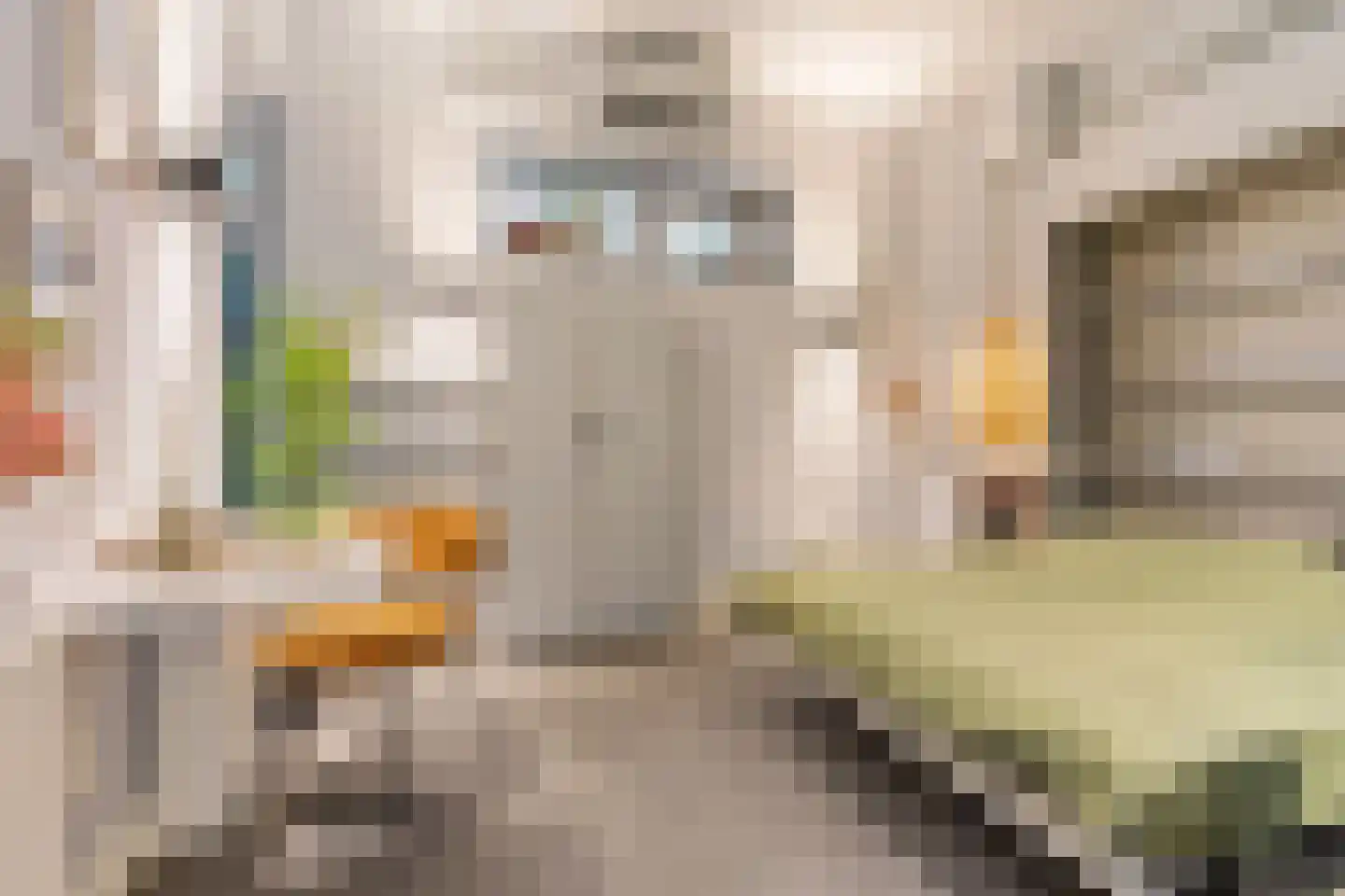 Groen van Prinstererstraat 42 B Rotterdam thumbnail 5