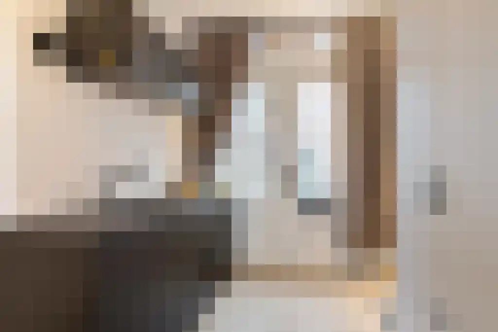 Groen van Prinstererstraat 42 B Rotterdam thumbnail 6