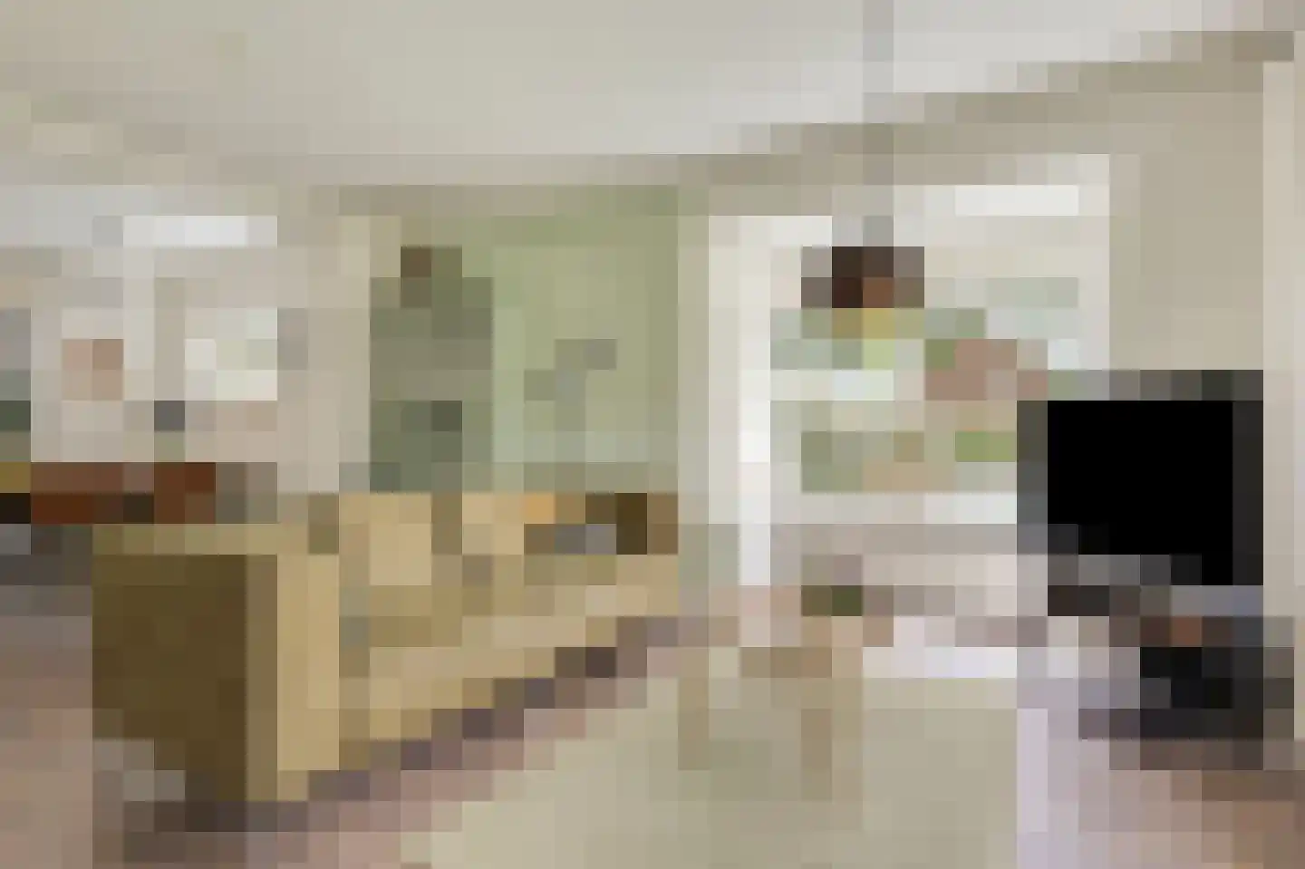 Groen van Prinstererstraat 42 Zelhem thumbnail 14