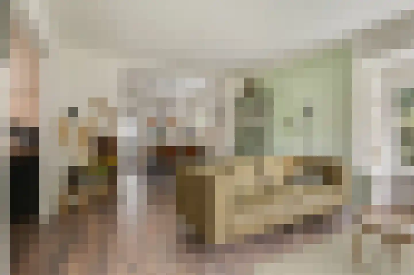 Groen van Prinstererstraat 42 Zelhem thumbnail 15