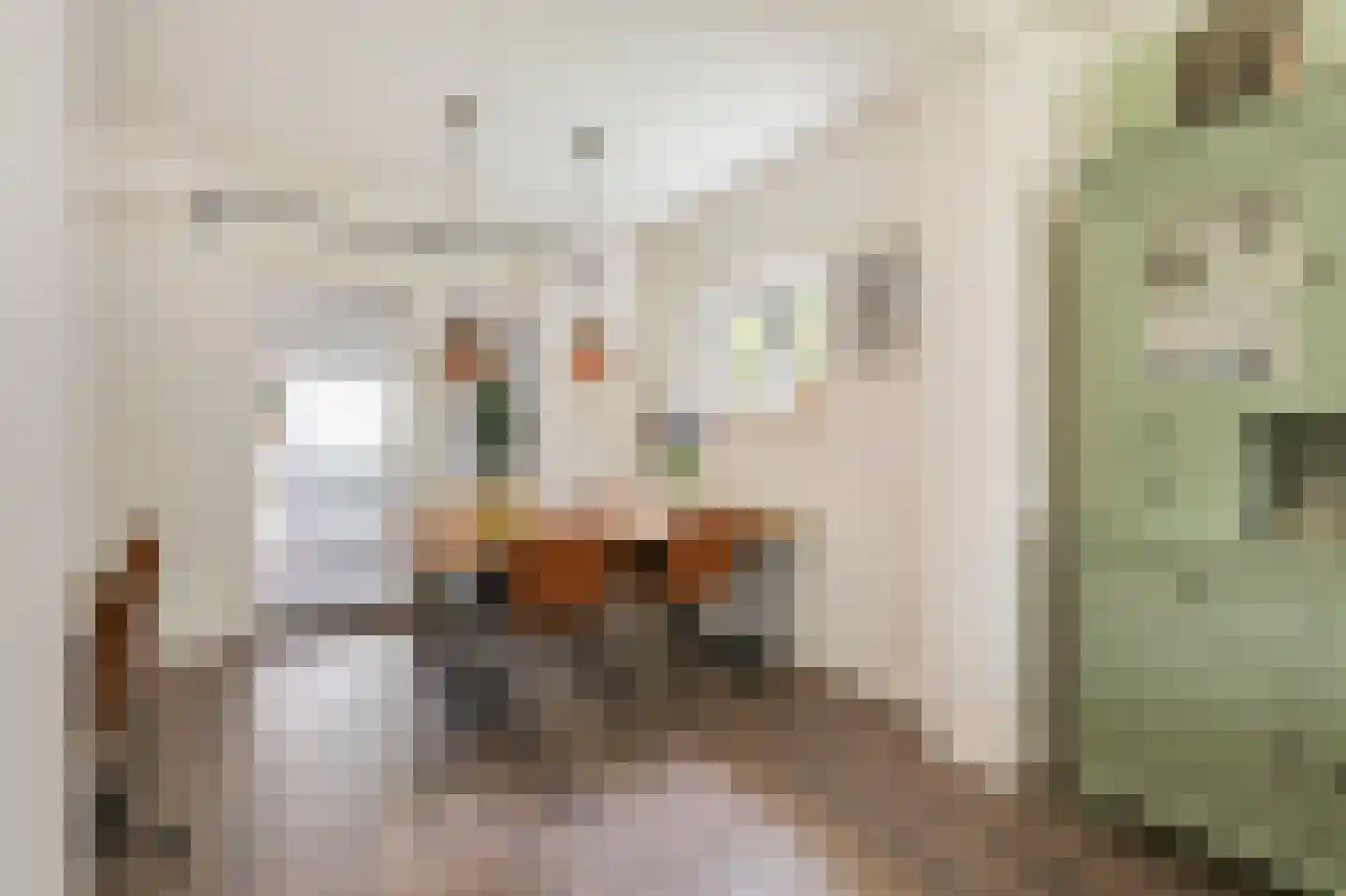 Groen van Prinstererstraat 42 Zelhem thumbnail 16