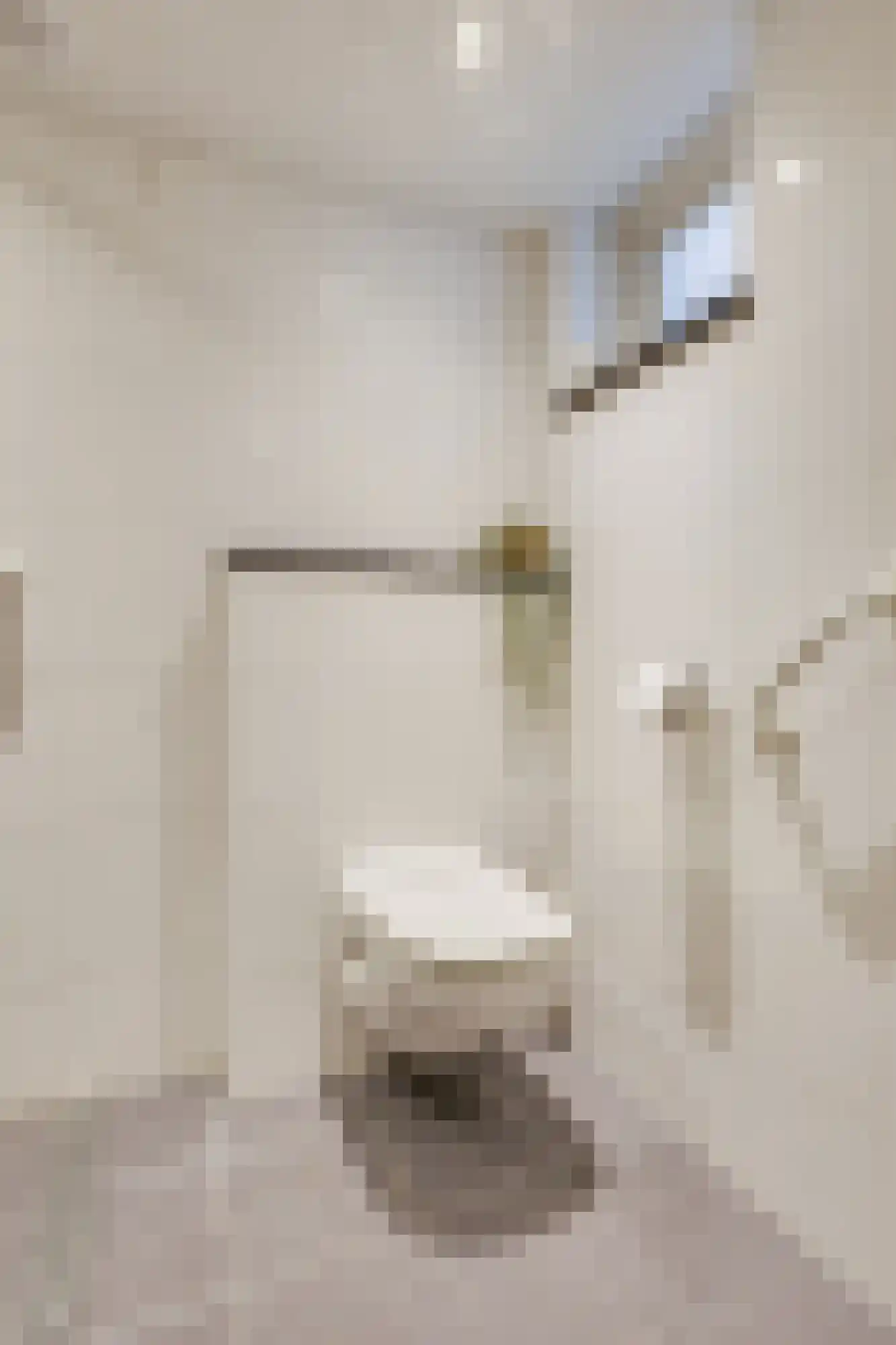 Groen van Prinstererstraat 42 Zelhem thumbnail 25