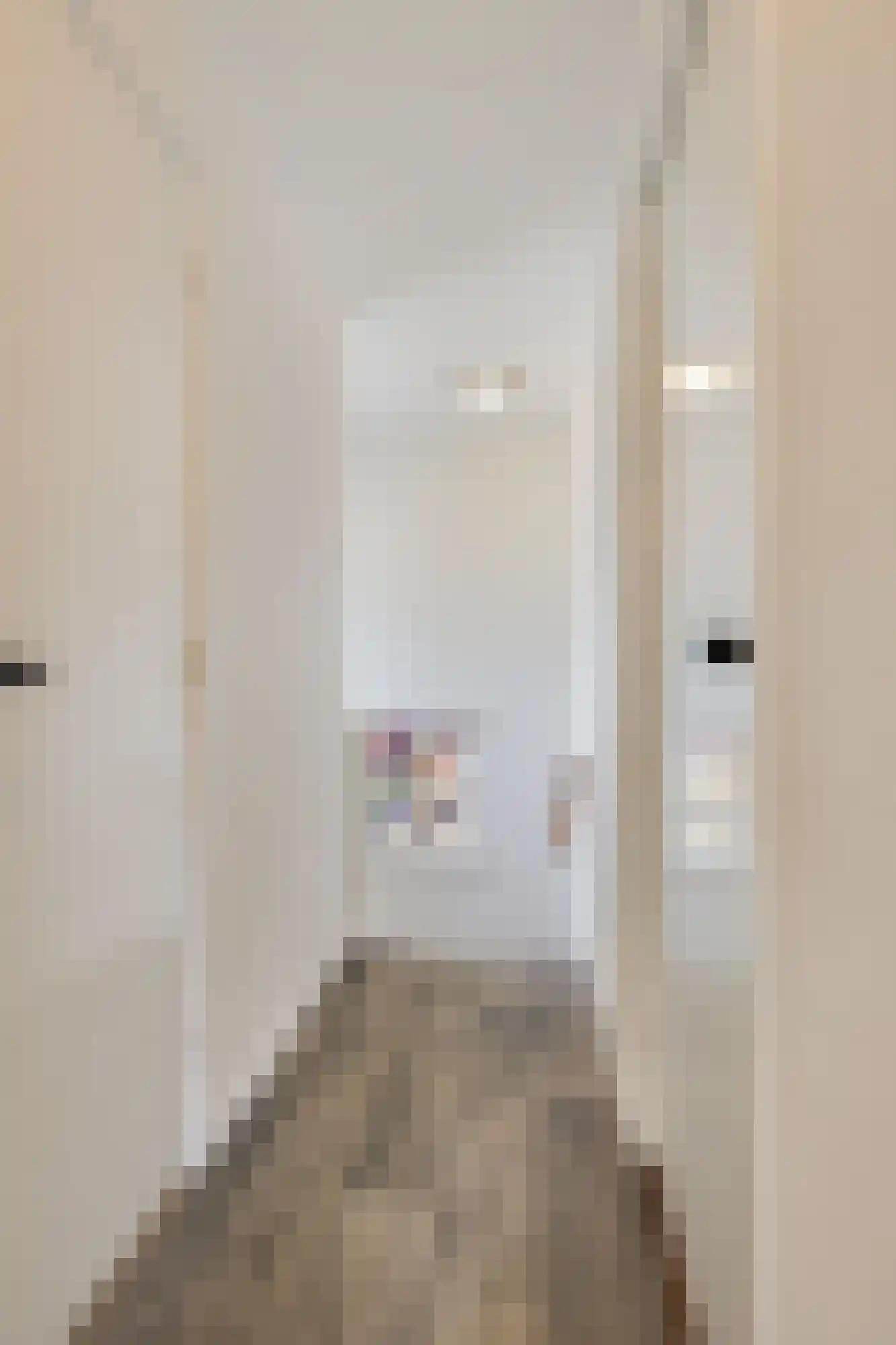 Groen van Prinstererstraat 42 Zelhem thumbnail 34