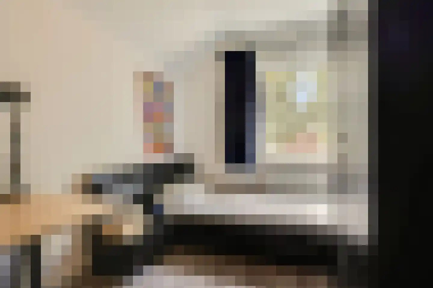 Groen van Prinstererstraat 42 Zelhem thumbnail 38