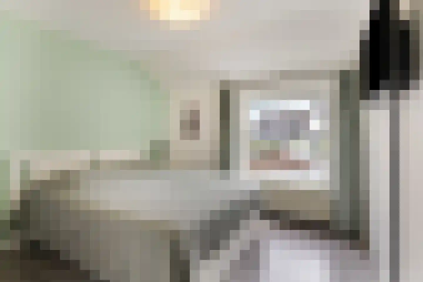 Groen van Prinstererstraat 42 Zelhem thumbnail 40
