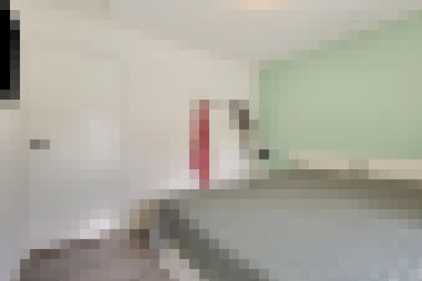 Groen van Prinstererstraat 42 Zelhem thumbnail 41