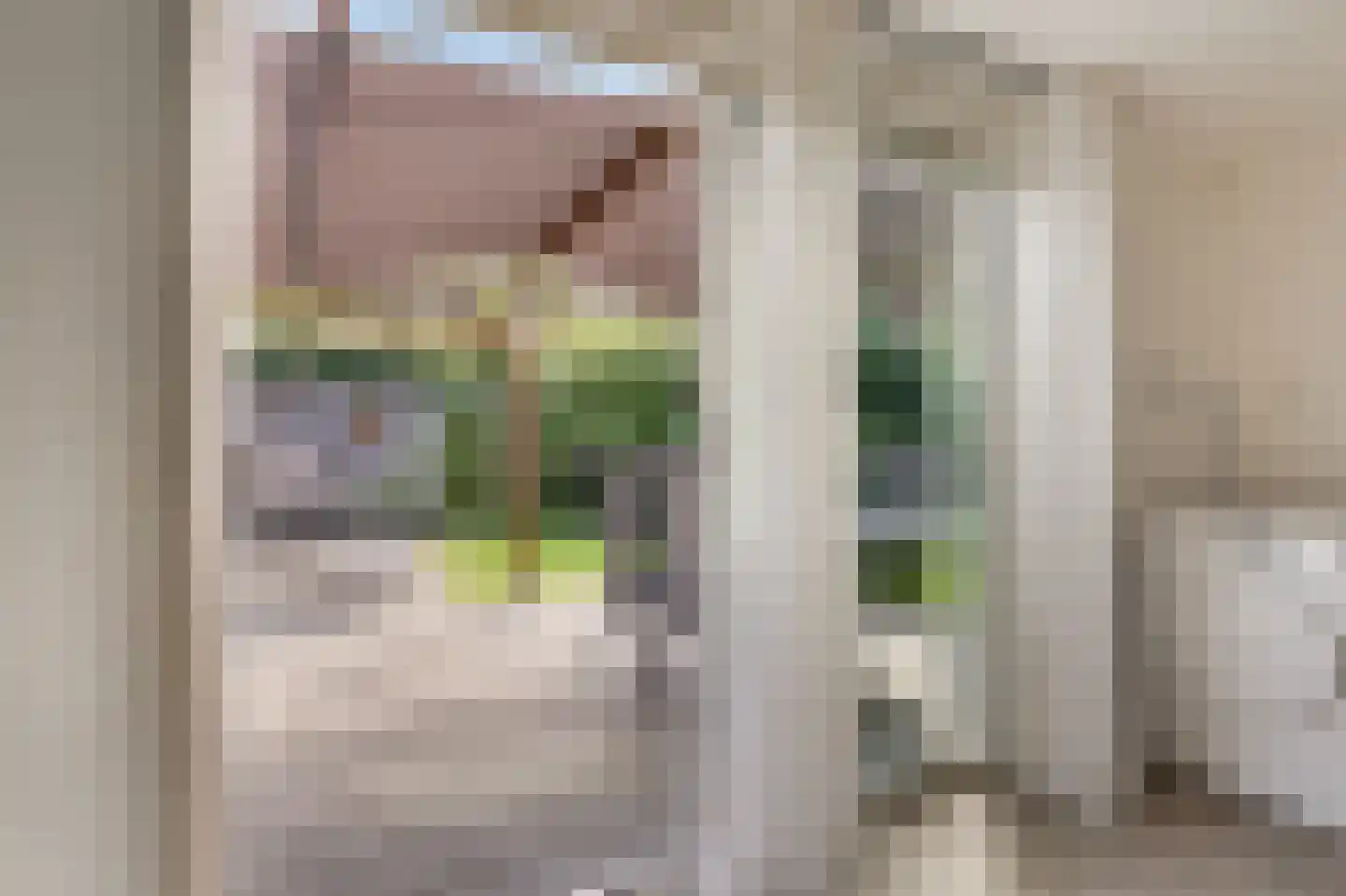 Groen van Prinstererstraat 42 Zelhem thumbnail 44