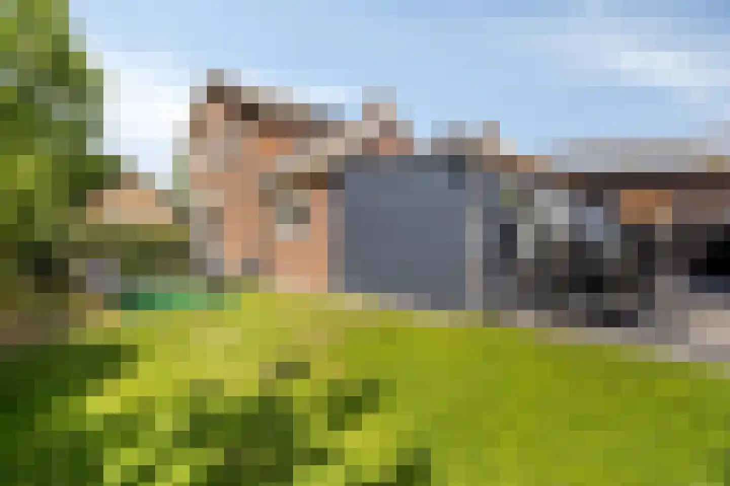 Groen van Prinstererstraat 42 Zelhem thumbnail 47