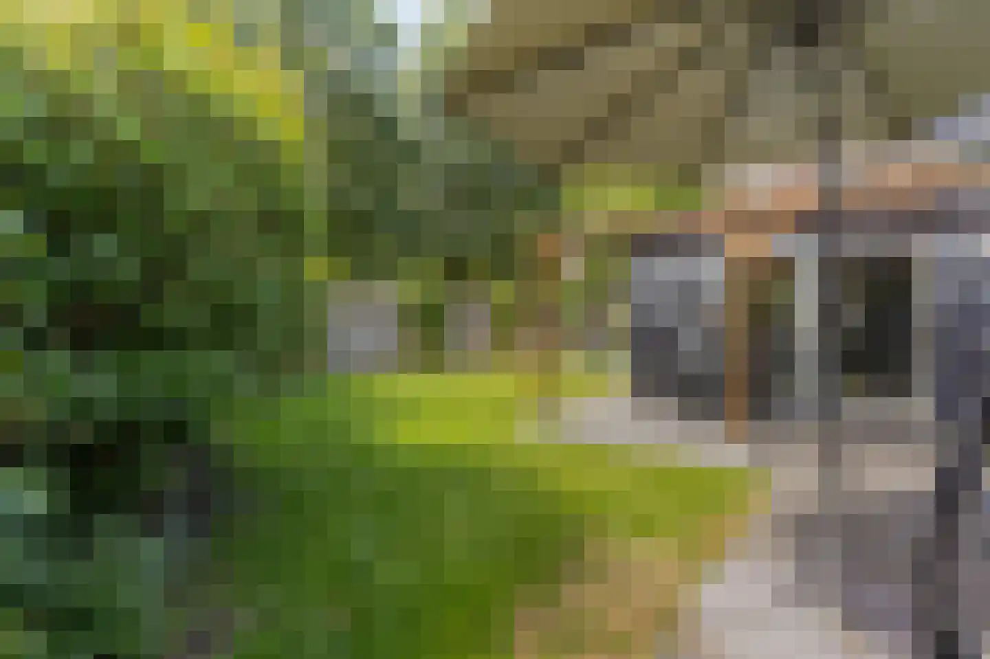 Groen van Prinstererstraat 42 Zelhem thumbnail 48