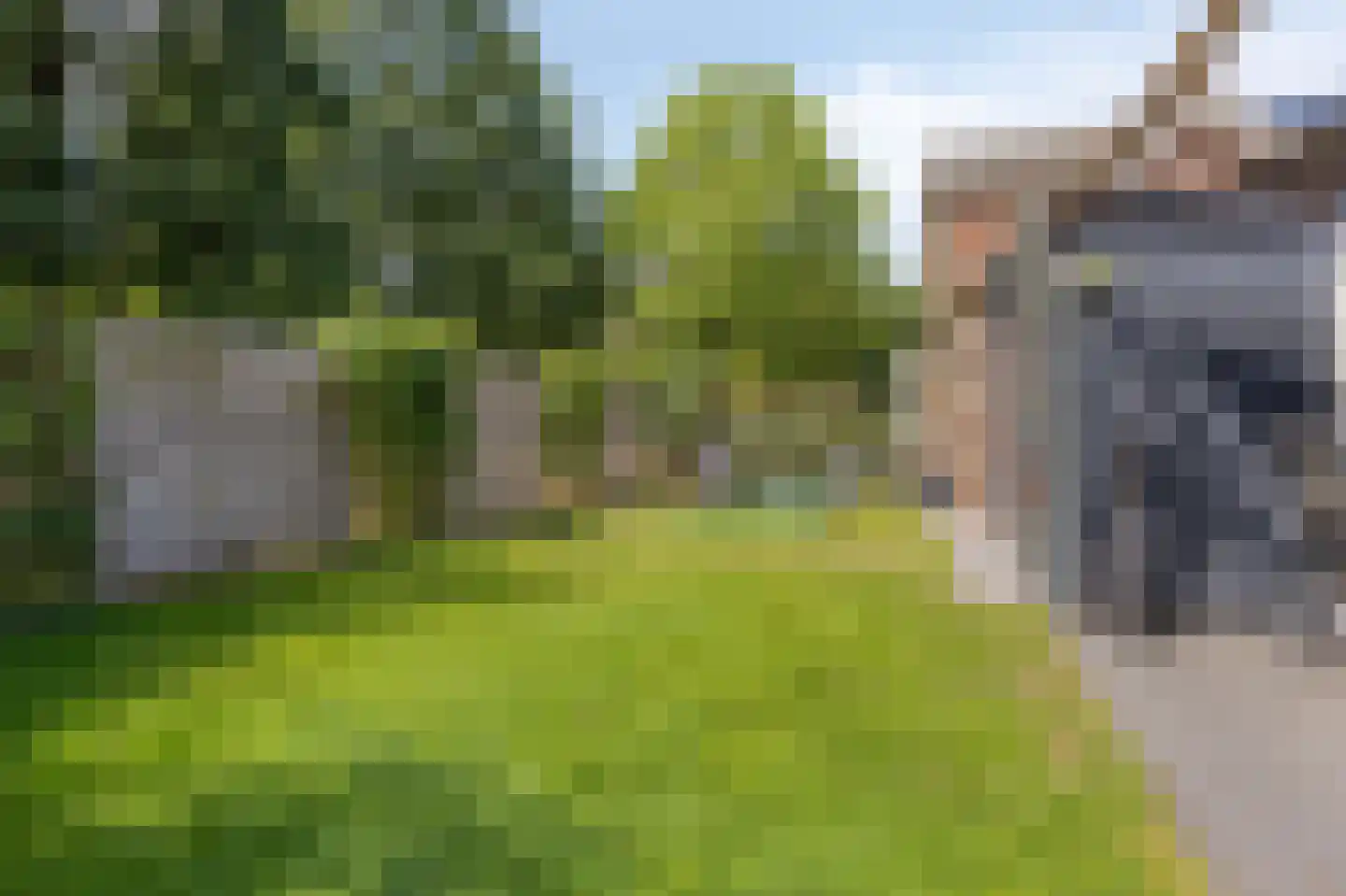 Groen van Prinstererstraat 42 Zelhem thumbnail 49