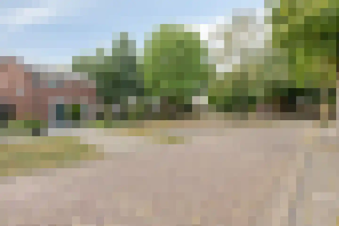 Groen van Prinstererstraat 42 Zelhem thumbnail 5