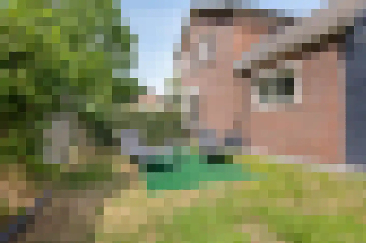 Groen van Prinstererstraat 42 Zelhem thumbnail 50