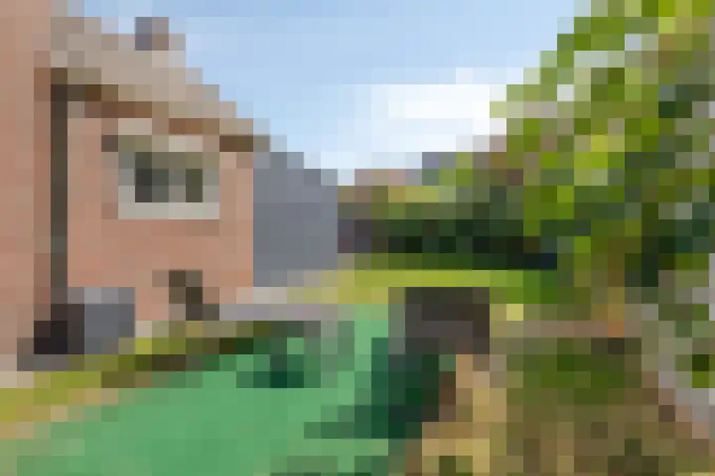 Groen van Prinstererstraat 42 Zelhem thumbnail 51