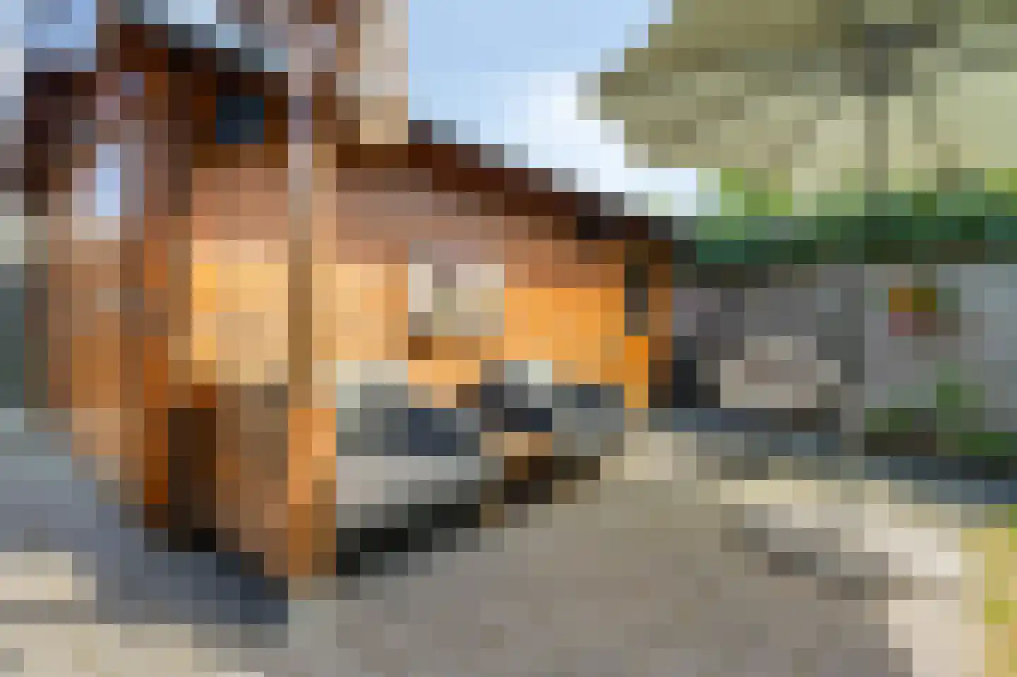 Groen van Prinstererstraat 42 Zelhem thumbnail 52